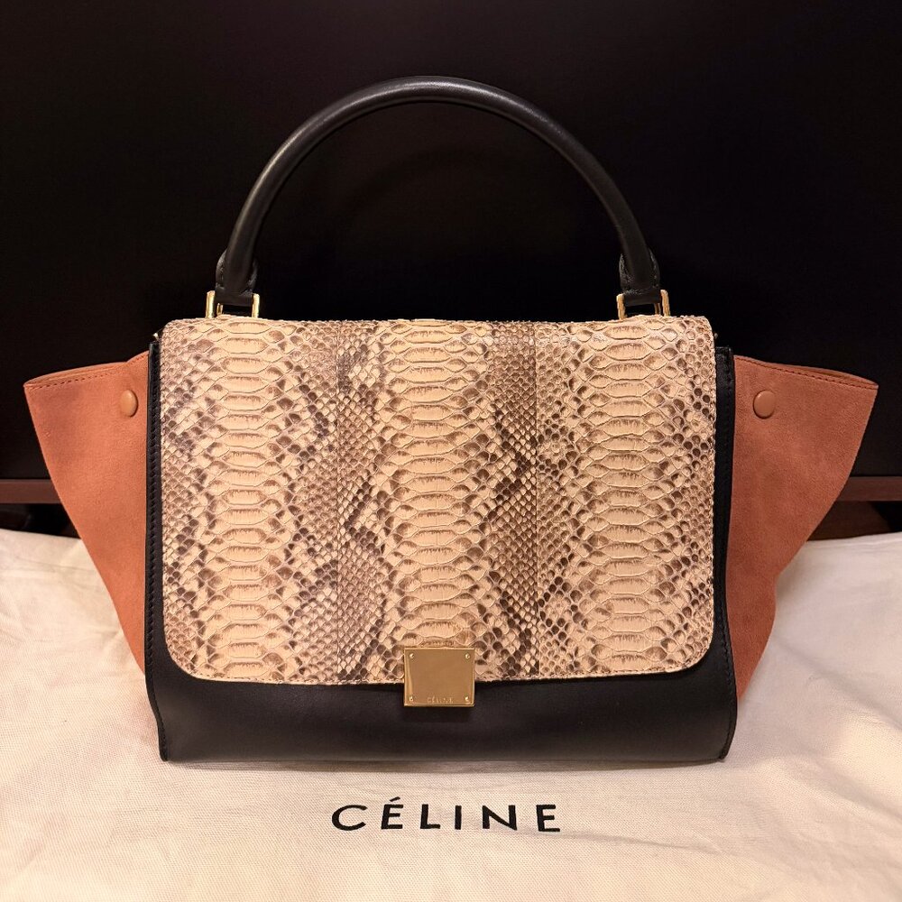 Celine Beige Python Tricolor Leather Medium Trape… - image 1